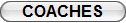 ./coach_detailing.html